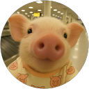 Ng shi E. profile picture