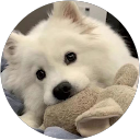 Kun Ling L. profile picture