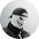 Ravin N. profile picture