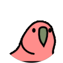 Chai E. profile picture