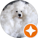 shu K. profile picture