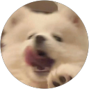 zxin profile picture